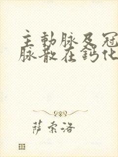 主动脉及冠状动脉散在钙化