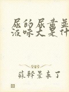 尿的尿黄并且尿液味大是什么原因