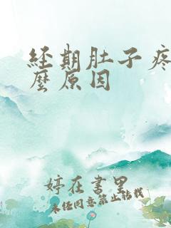 经期肚子疼痛什么原因