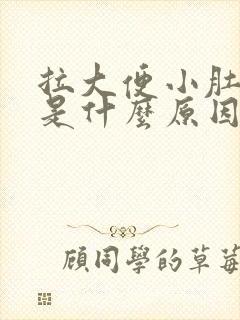 拉大便小肚子疼是什么原因