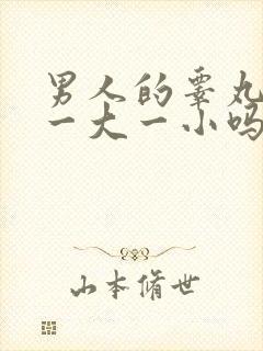 男人的睾丸都是一大一小吗