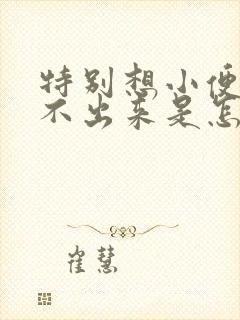 特别想小便又尿不出来是怎么回事