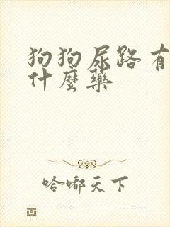 狗狗尿路有脓吃什么药