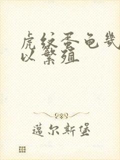 虎纹蛋龟几年可以繁殖