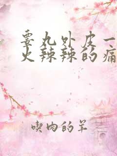 睾丸外皮一碰就火辣辣的痛