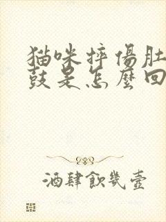 猫咪摔伤肚子鼓鼓是怎么回事