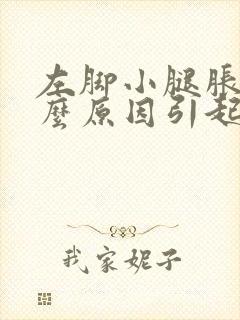 左脚小腿胀痛什么原因引起的