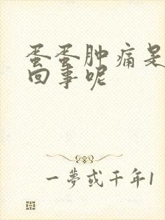 蛋蛋肿痛是怎么回事呢