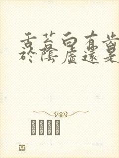 舌苔白有齿痕属于阴虚还是阳虚