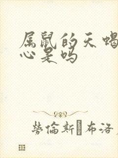 属鼠的天蝎男花心是吗