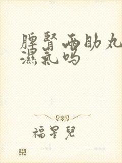 脾肾两助丸能去湿气吗