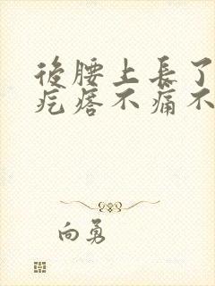 后腰上长了个硬疙瘩不痛不痒