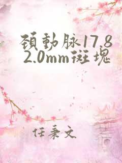 颈动脉17.8 2.0mm斑块