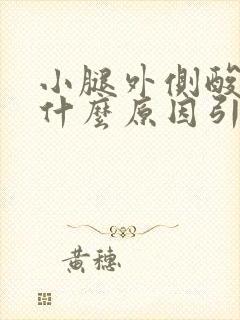 小腿外侧酸胀痛什么原因引起的女性