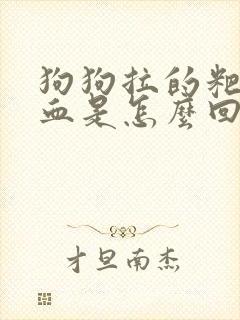 狗狗拉的粑粑带血是怎么回事