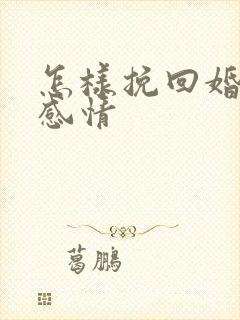 怎样挽回婚姻 感情