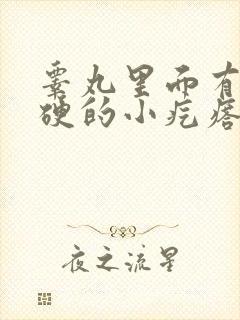 睾丸里面有个硬硬的小疙瘩严重吗?