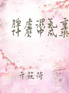 脾虚湿气重该吃什么中成药