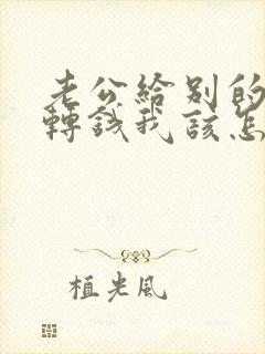 老公给别的女人转钱我该怎么办