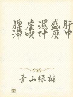 脾虚湿盛肝郁气滞吃什么中成药