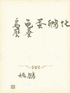 乌龟蛋孵化后怎么养