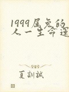 1999属兔的人一生命运