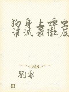 狗身上蜱虫怎么消灭最彻底