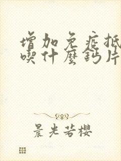 增加免疫抵抗力吃什么钙片