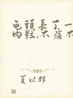 龟头长了一颗小肉粒,不痛不痒