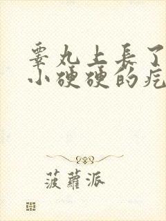 睾丸上长了一个小硬硬的疙瘩