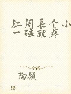 肛周长个小疙瘩一碰就疼