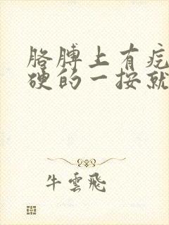 胳膊上有疙瘩硬硬的一按就疼