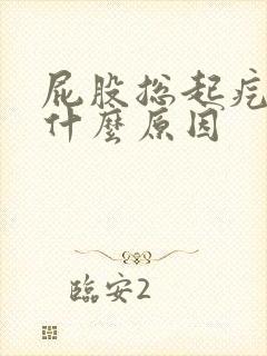 屁股总起疙瘩是什么原因