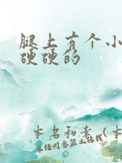 腿上有个小疙瘩硬硬的