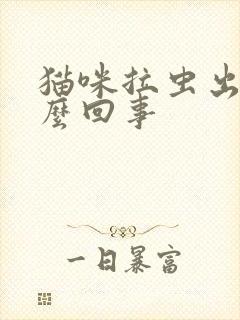 猫咪拉虫出来怎么回事