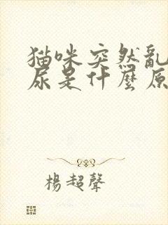 猫咪突然乱拉乱尿是什么原因引起的