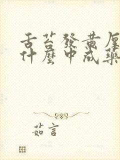 舌苔发黄厚腻吃什么中成药最合适