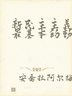 新民主主义革命最基本的动力是:( )