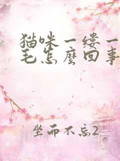 猫咪一缕一缕掉毛怎么回事