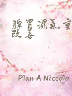 脾胃湿气重怎么改善