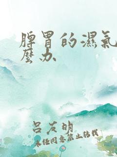 脾胃的湿气重怎么办