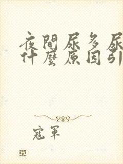 夜间尿多尿频是什么原因引起的