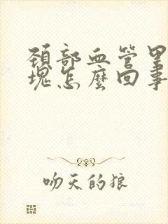 颈部血管里有斑块怎么回事