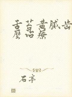 舌苔黄腻齿痕怎么治疗