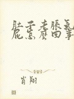 肚子老胀气想放屁怎么回事