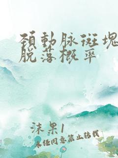 颈动脉斑块软斑脱落概率