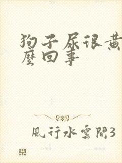 狗子尿很黄是怎么回事