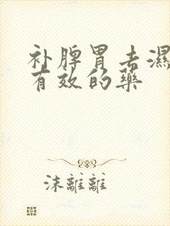 补脾胃去湿气最有效的药