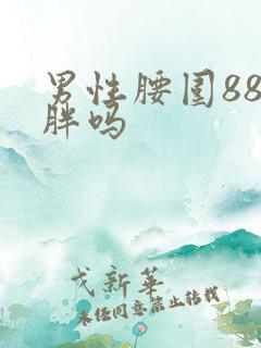 男性腰围88算胖吗