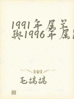 1991年属羊与1996年属鼠女婚配吗